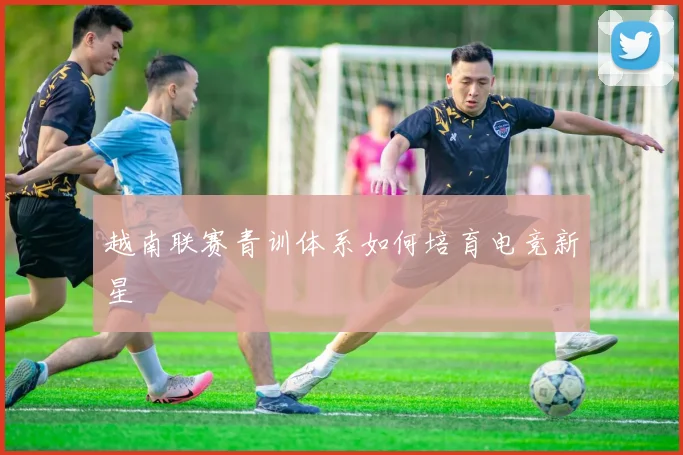 越南联赛青训体系如何培育电竞新星