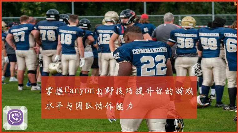 掌握Canyon打野技巧提升你的游戏水平与团队协作能力