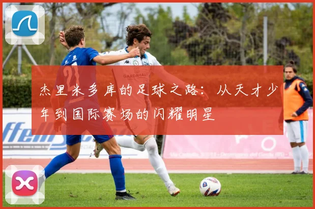 杰里米多库的足球之路：从天才少年到国际赛场的闪耀明星