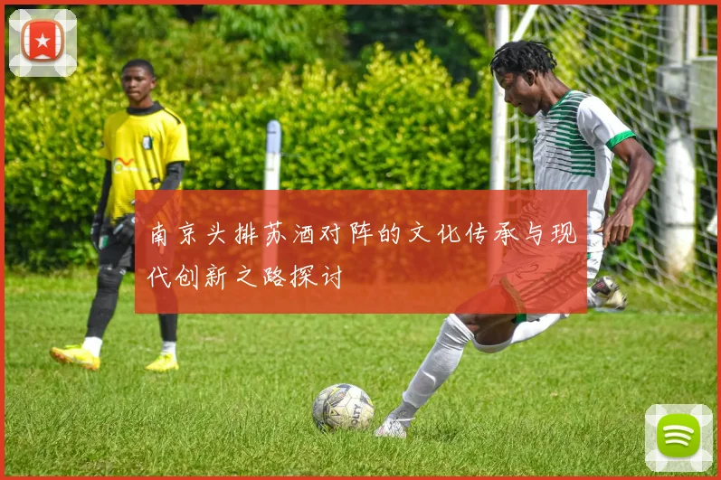 南京头排苏酒对阵的文化传承与现代创新之路探讨
