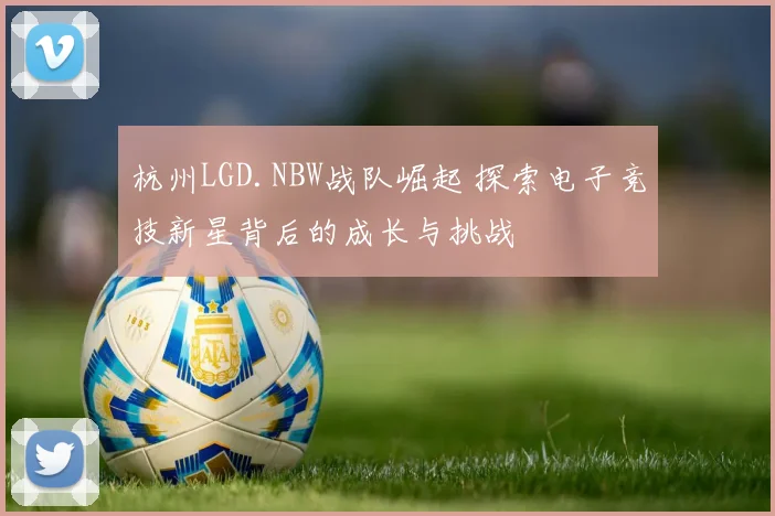 杭州LGD.NBW战队崛起 探索电子竞技新星背后的成长与挑战